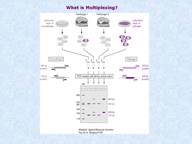 What is Multiplexing?